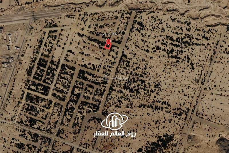 Residential Land in Shaeb Amir Al Jadid 555455 SAR - 88090983 Residential Land in Shaeb Amir Al Jadid 555455 SAR - 88090983