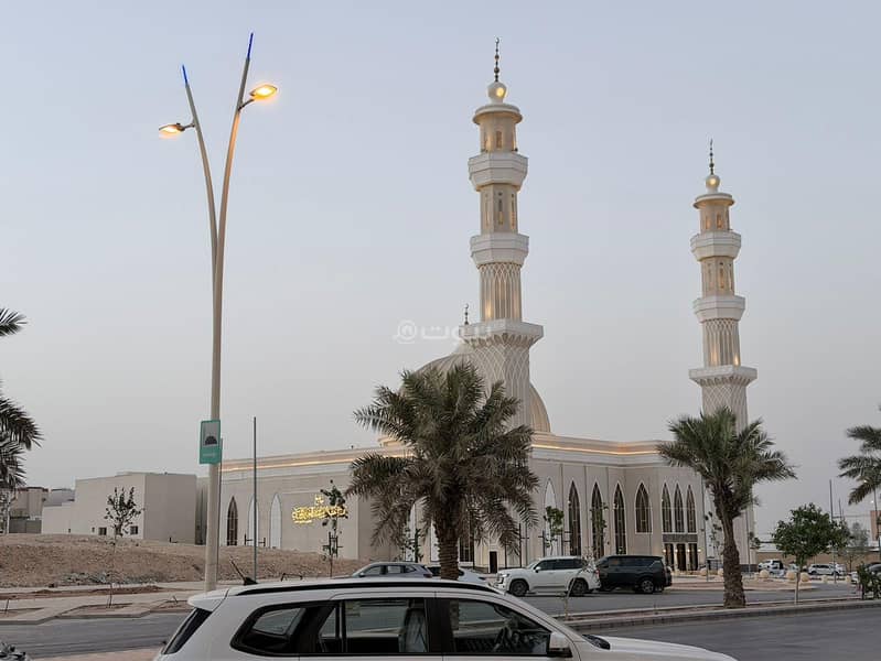 26