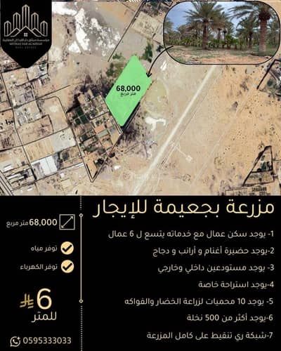 مزرعة 6 غرف نوم للايجار في مزارع الكواكب ومجموعه مزارع، القطيف - مزرعة للإيجار في مزارع الكواكب، القطيف مزرعة 6 غرف نوم للايجار في مزارع الكواكب ومجموعه مزارع، القطيف - مزرعة للإيجار في مزارع الكواكب، القطيف