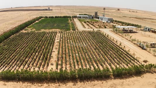 مزرعة 1 غرفة نوم للبيع في هجره النطاش والتراحيب - مزرعة للبيع جنوب الجله فرصة للاستجمام والاستثمار في نفس الوقت