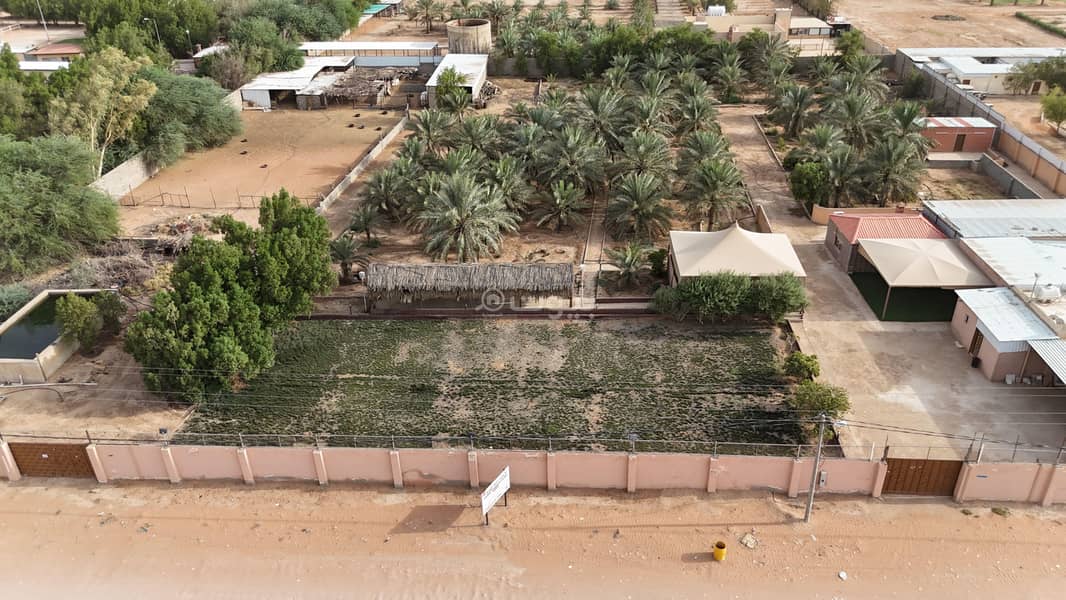 An unmissable opportunity! A distinguished farm for sale in Al-Ahmadiyah (Abu Talh) – located between Darma and Al-Muzahmiyah. An unmissable opportunity! A distinguished farm for sale in Al-Ahmadiyah (Abu Talh) – located between Darma and Al-Muzahmiyah.