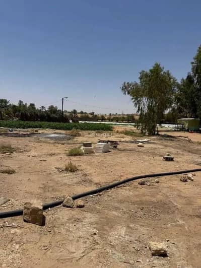 مزرعة 1 غرفة نوم للبيع في ضب روضان، البصر منطقة القصيم - مزرعة للبيع في حي ضب روضان, مدينة البصر, منطقة القصيم مزرعة 1 غرفة نوم للبيع في ضب روضان، البصر منطقة القصيم - مزرعة للبيع في حي ضب روضان, مدينة البصر, منطقة القصيم