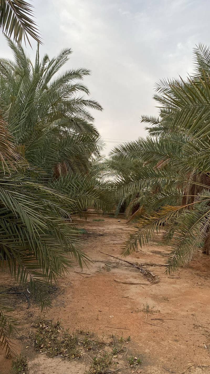 مزرعة في منطة الرياض - في المزاحمية – حي خشيب مزرعة في منطة الرياض - في المزاحمية – حي خشيب