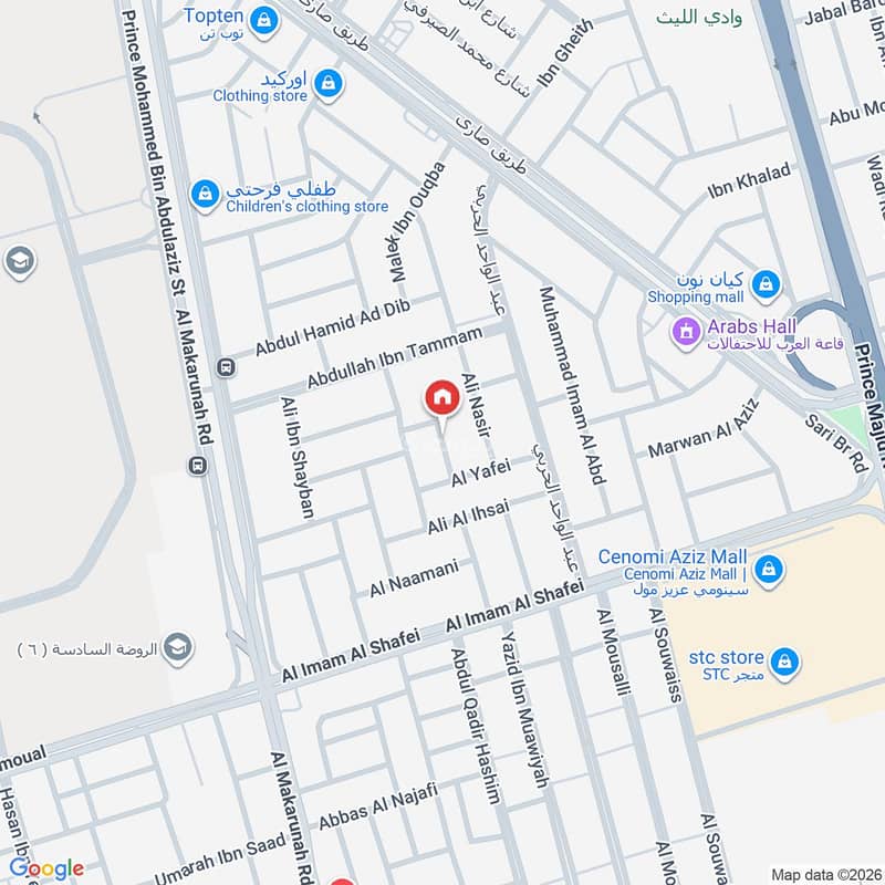 Map image